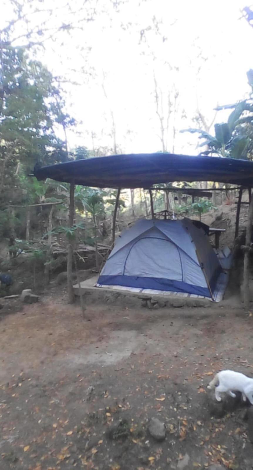 Camping Ground @ Eastdee Lidlidda Экстерьер фото
